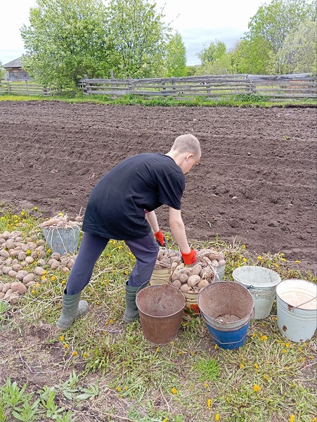 Сажаем школьный огород.